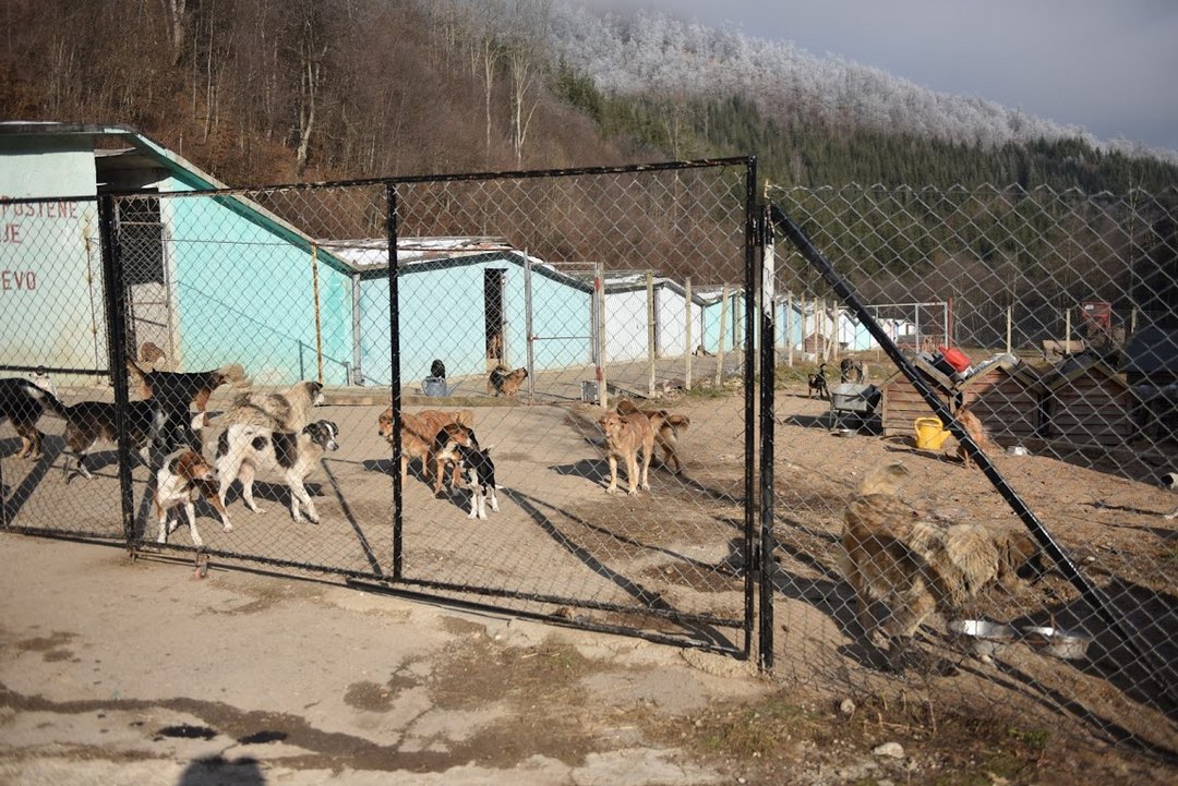 Activities regarding Prača shelter